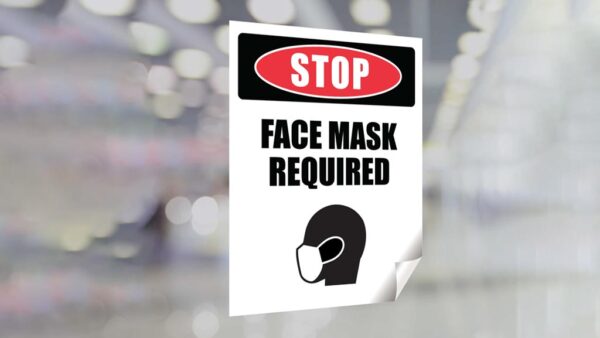 Face Mask Window Clings 2
