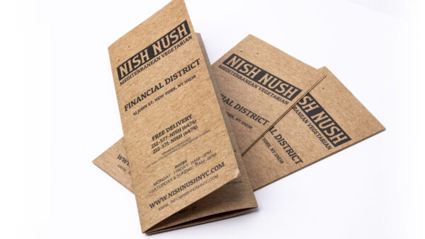 Same Day Brochures 11